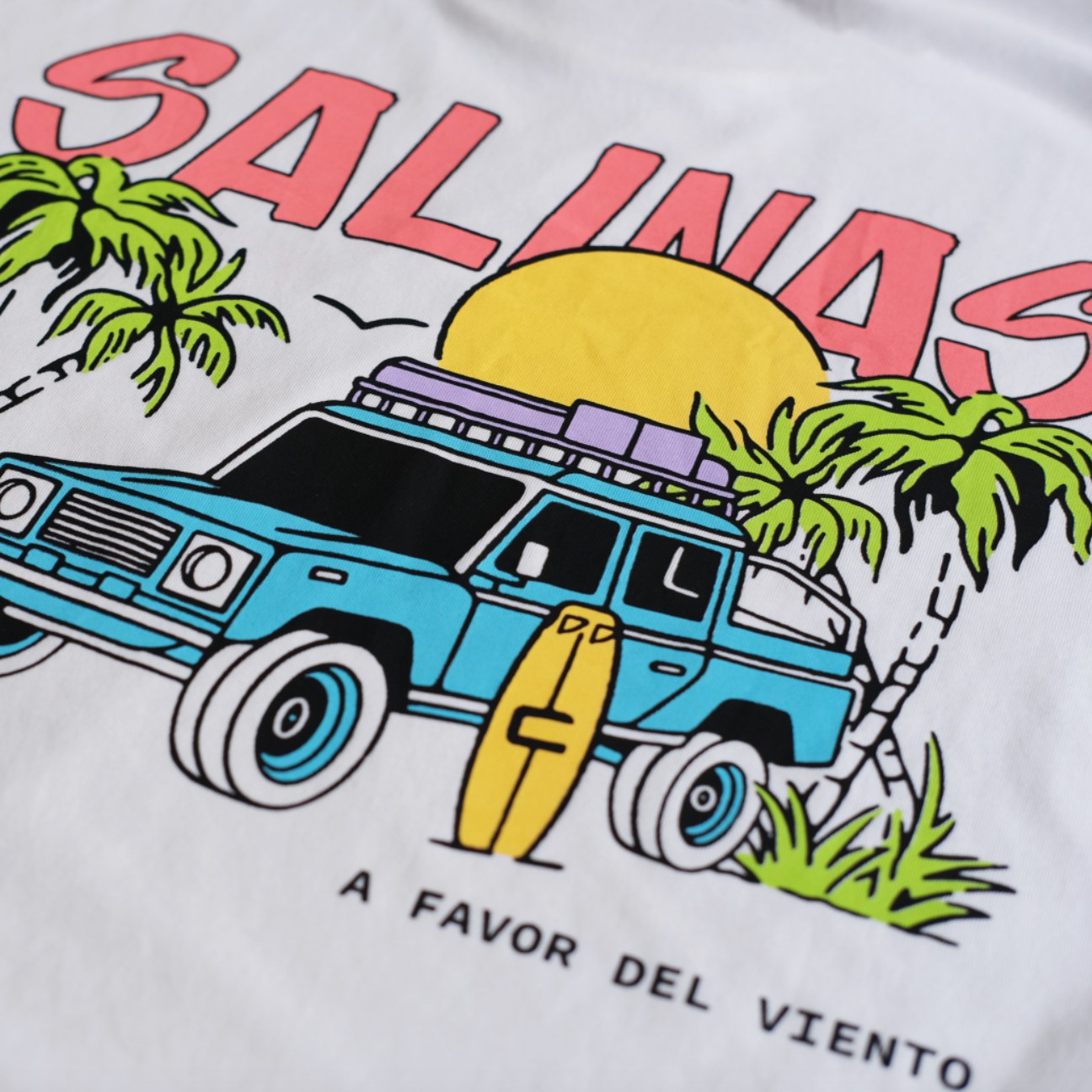 Camiseta Salinas Colors