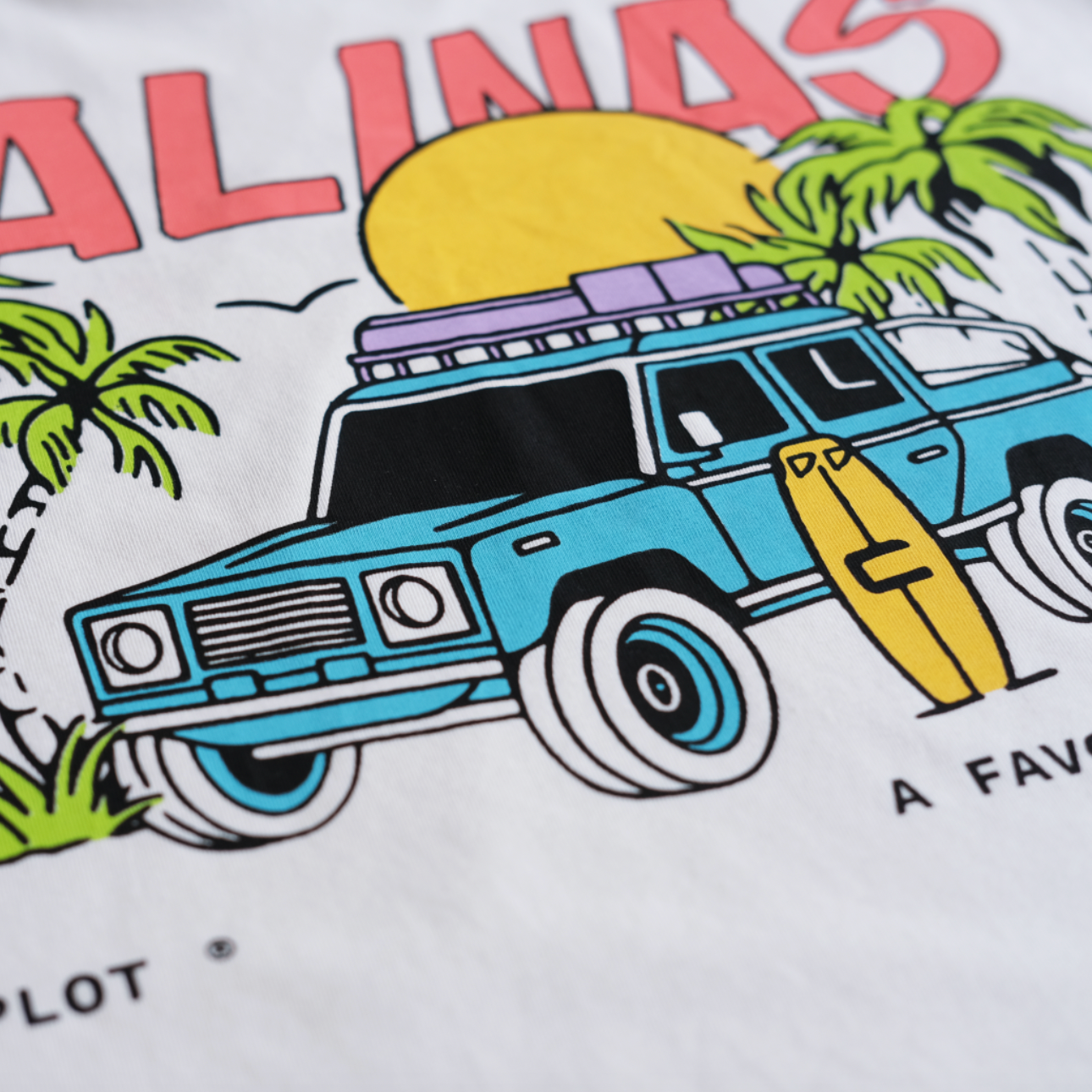 Camiseta Salinas Colors